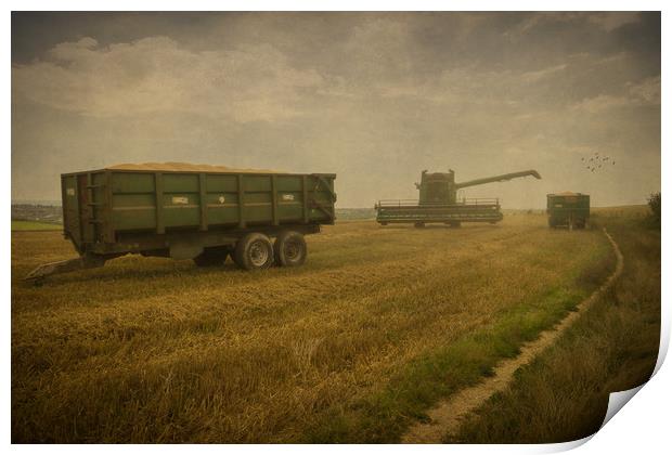 August Harvest On The South Downs Near Brighton Print by Chris Lord