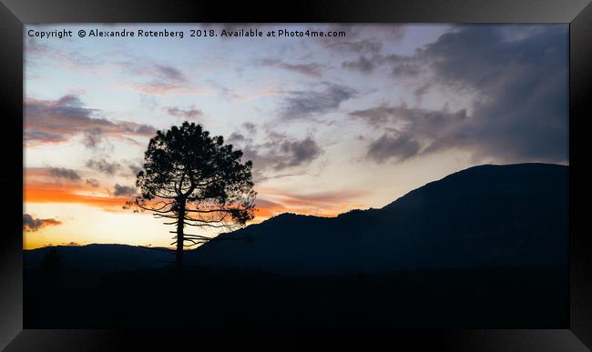 Provence, France Sunset Framed Print by Alexandre Rotenberg