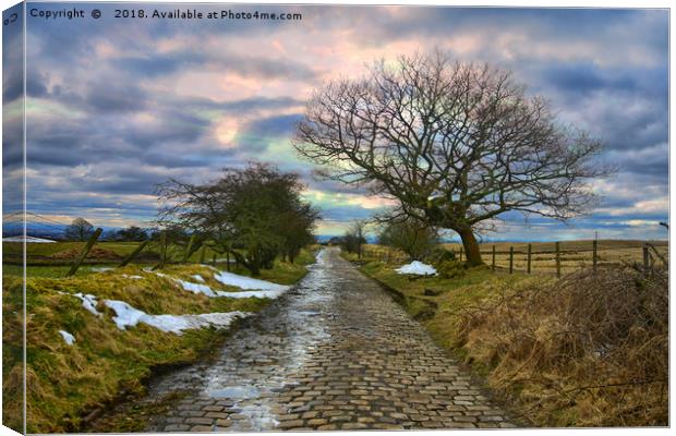 Countryside road to greenbooth Canvas Print by Derrick Fox Lomax