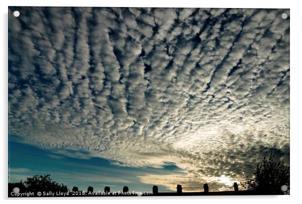 Under a Mackerel Sky Acrylic by Sally Lloyd
