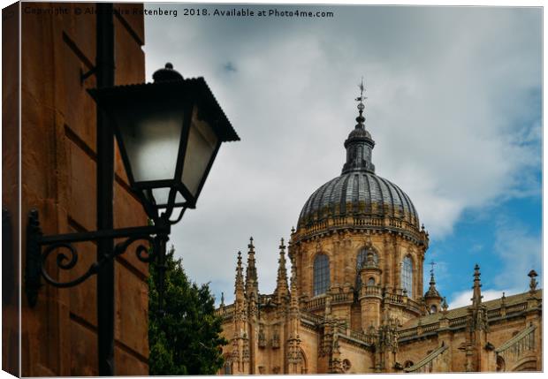 Old Cathedral, Salamanca, Spain  Canvas Print by Alexandre Rotenberg