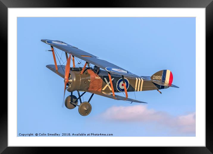 Sopwith F.1 Camel D1851 G-BZSC "Ikanopit" Framed Mounted Print by Colin Smedley
