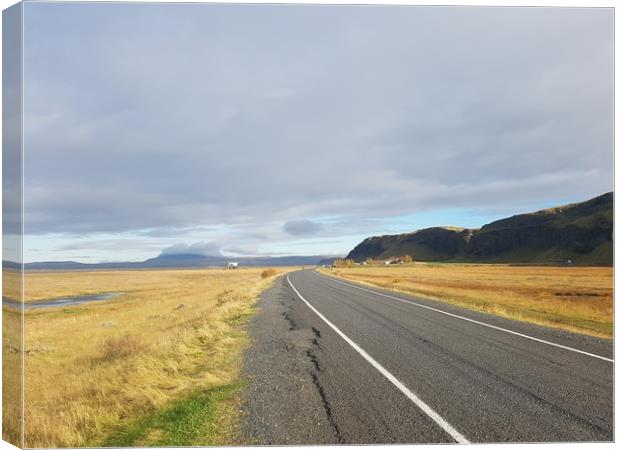 Icelandic Road to Nowhere Canvas Print by neal frost