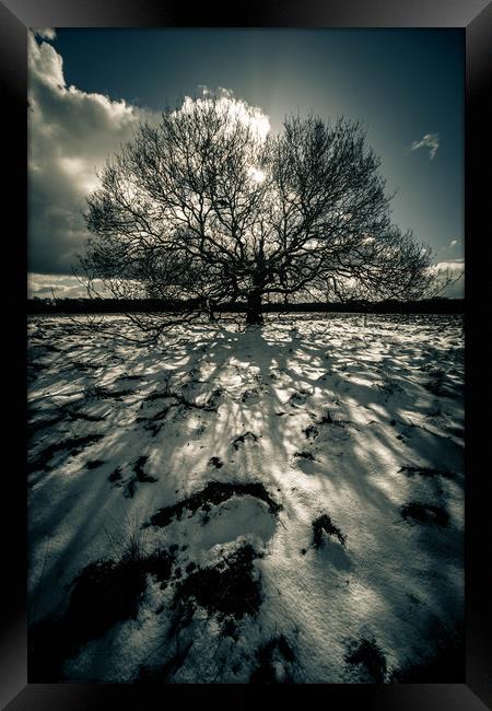 Shadows in the Snow Framed Print by Peter Anthony Rollings