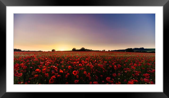 Poppy Heaven Framed Mounted Print by Peter Anthony Rollings