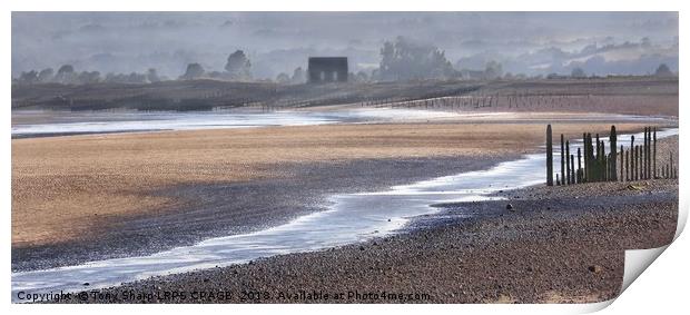 MISTY DAWN WINCHELSEA BEACH Print by Tony Sharp LRPS CPAGB