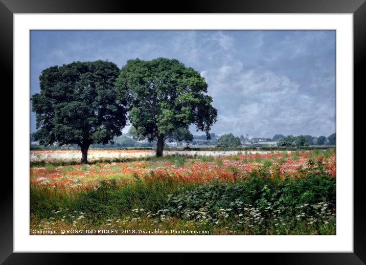 "Trees in the poppy field" Framed Mounted Print by ROS RIDLEY