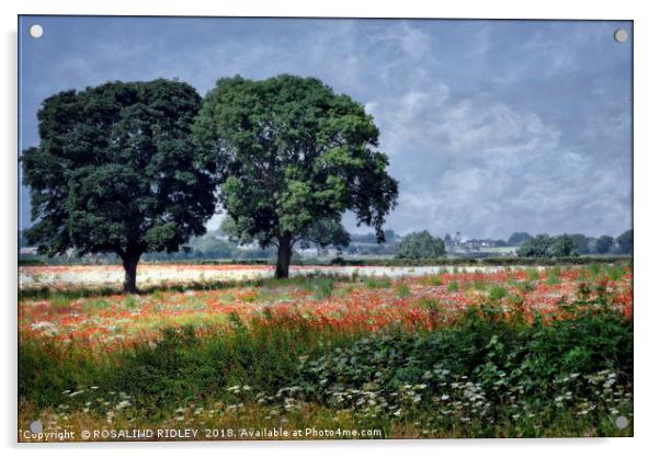 "Trees in the poppy field" Acrylic by ROS RIDLEY