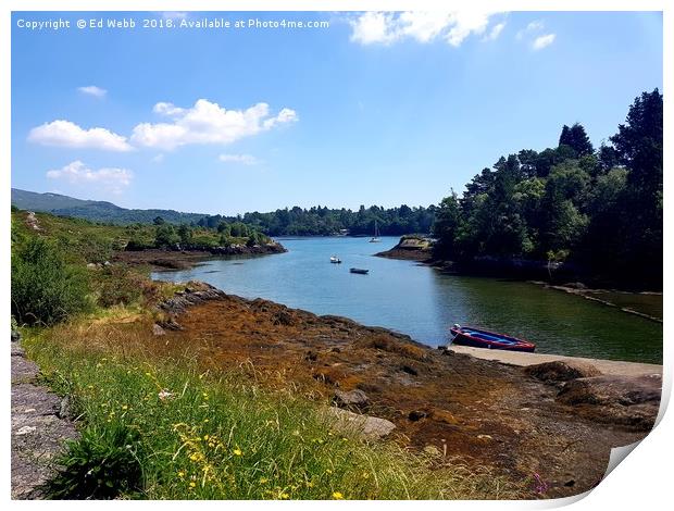 Glengarriff Harbour Print by Ed Webb