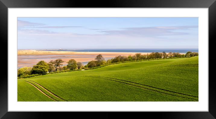 Fields of Plenty Framed Mounted Print by Naylor's Photography