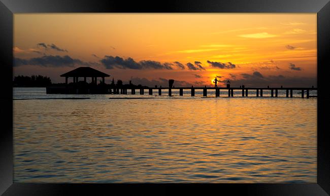 Sunset Pier Framed Print by Dave Wragg