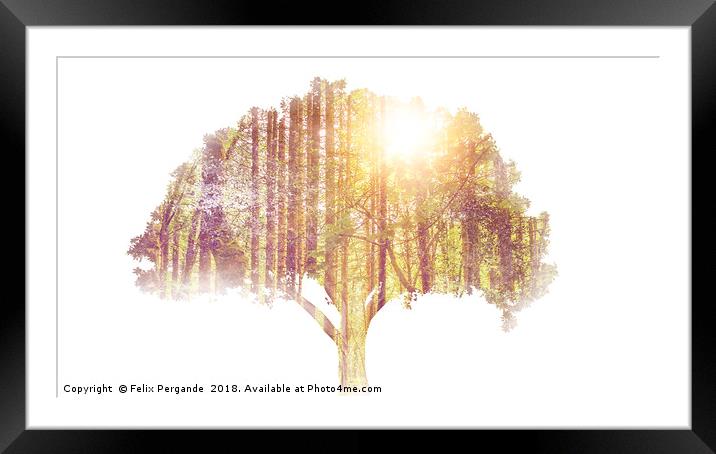 tree double exposure Framed Mounted Print by Felix Pergande