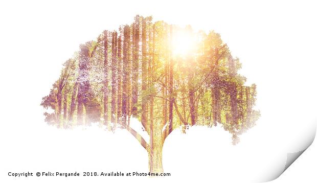 tree double exposure Print by Felix Pergande