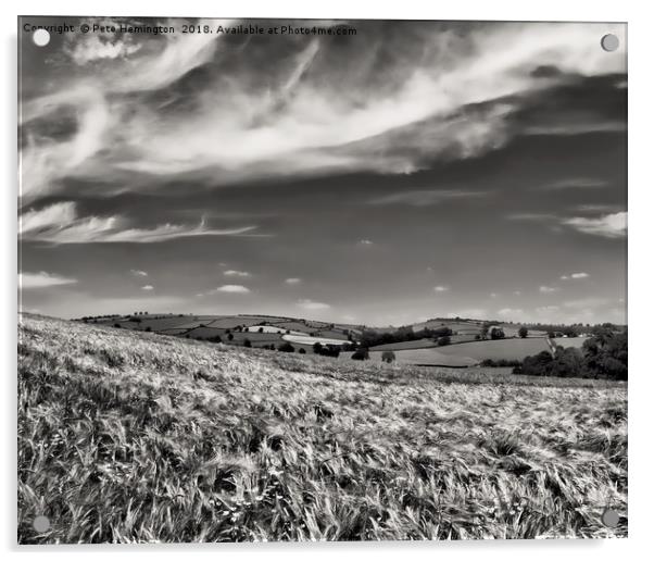 A rural scene in Mid Devon Acrylic by Pete Hemington