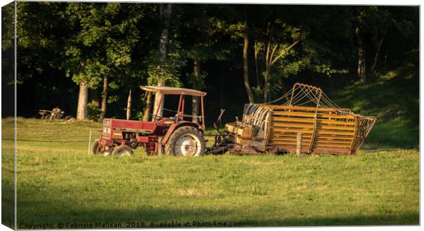 Tractor in the field Canvas Print by Fabrizio Malisan