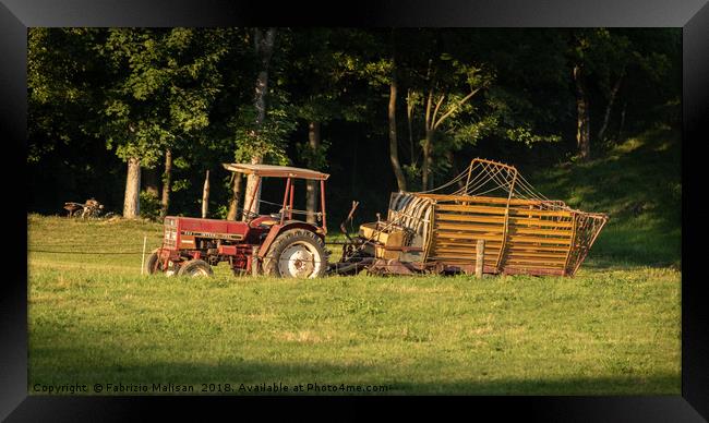 Tractor in the field Framed Print by Fabrizio Malisan