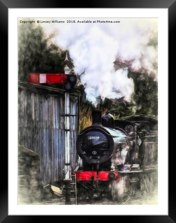 LSWR T9 Class 30120 Framed Mounted Print by Linsey Williams