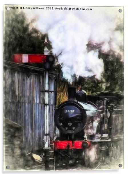 LSWR T9 Class 30120 Acrylic by Linsey Williams