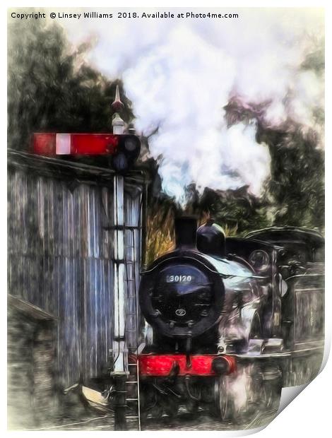 LSWR T9 Class 30120 Print by Linsey Williams