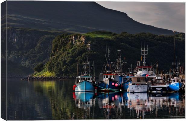 Portree Harbour Canvas Print by Frank Heumann