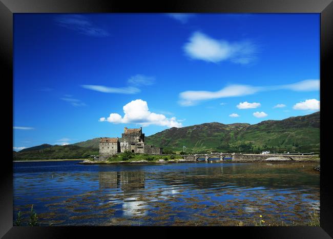 Eilean Donan Castle Framed Print by raymond mcintosh