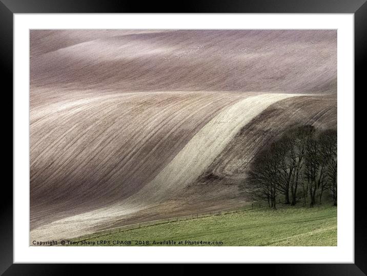 SOUTH DOWNS' FIELD PATTERNS Framed Mounted Print by Tony Sharp LRPS CPAGB