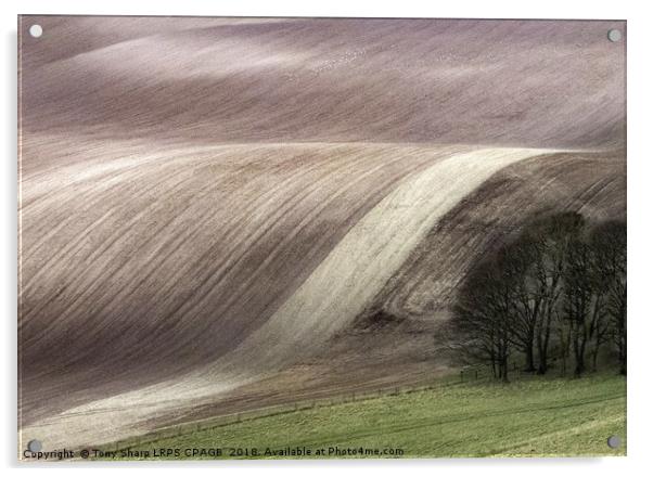 SOUTH DOWNS' FIELD PATTERNS Acrylic by Tony Sharp LRPS CPAGB