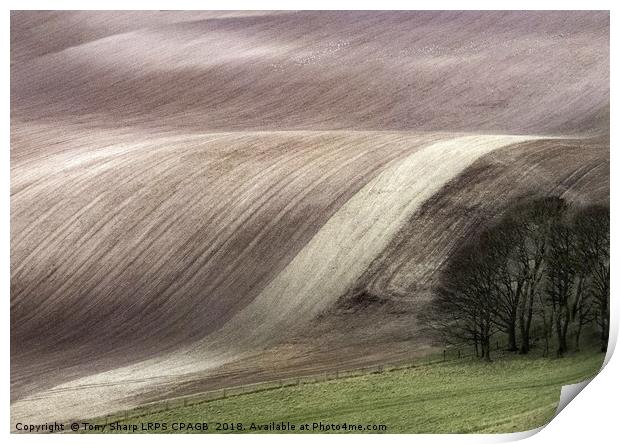 SOUTH DOWNS' FIELD PATTERNS Print by Tony Sharp LRPS CPAGB