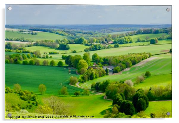 Lush English Countryside at Combe in Wiltshire Acrylic by Penny Martin