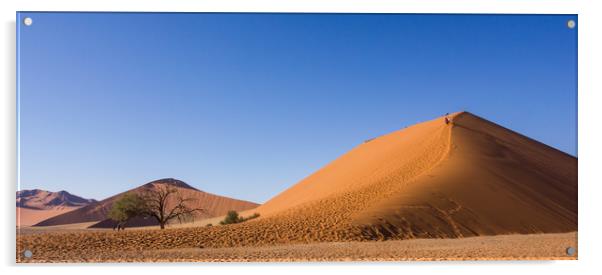 Dune 45 Winter landscape Sossusvlei, Namibia Acrylic by Childa Santrucek