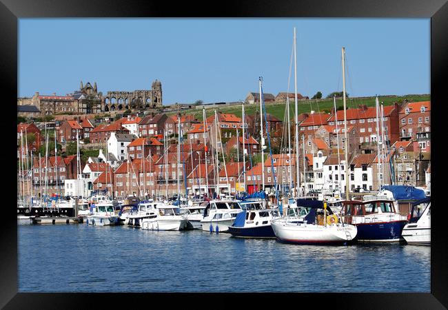 Whitby Yorkshire uk Framed Print by Irene Burdell