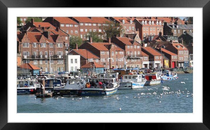 Whitby North Yorkshire uk Framed Mounted Print by Irene Burdell