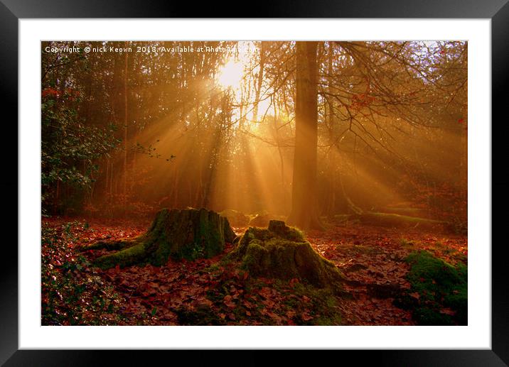 Winter Sun Framed Mounted Print by Nick Keown