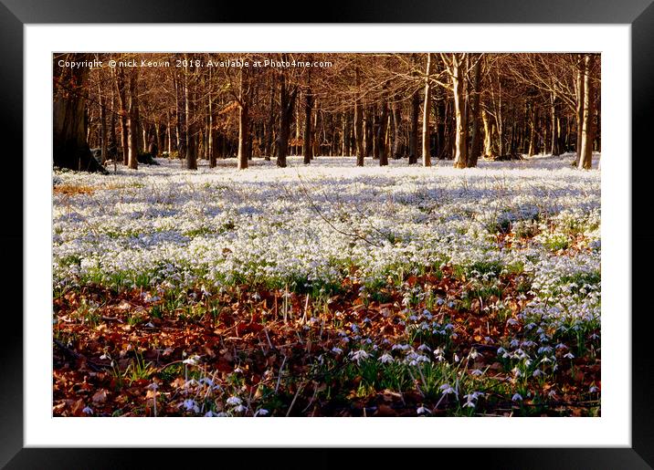 Snowdrops Framed Mounted Print by Nick Keown