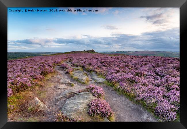 Peak District Heather Framed Print by Helen Hotson