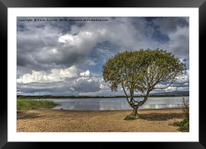 Lonely Tree, Kenfig Pool, South Wales Framed Mounted Print by Kevin Arscott