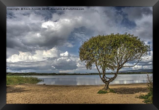 Lonely Tree, Kenfig Pool, South Wales Framed Print by Kevin Arscott