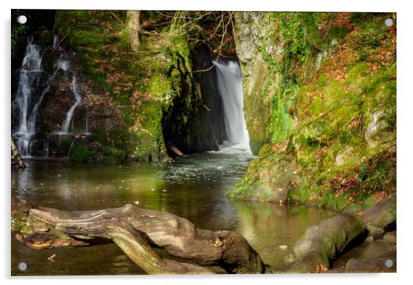 Ffynnone Falls, Pembrokeshire, Wales, UK Acrylic by Mark Llewellyn