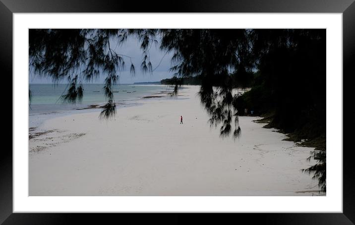         Mombassa beach                             Framed Mounted Print by steve akerman