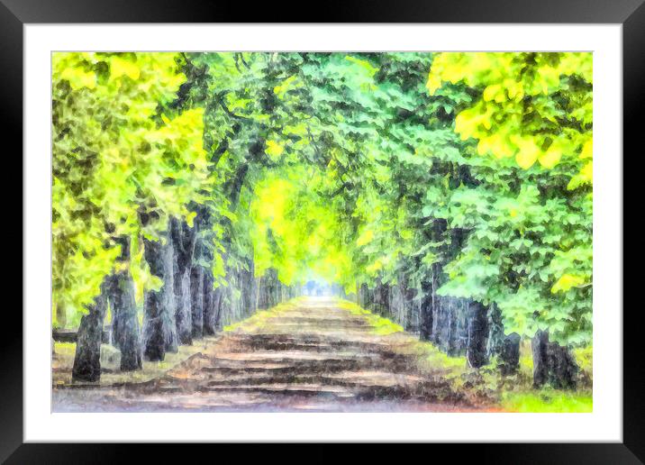 Forest Path Watercolour Framed Mounted Print by David Pyatt