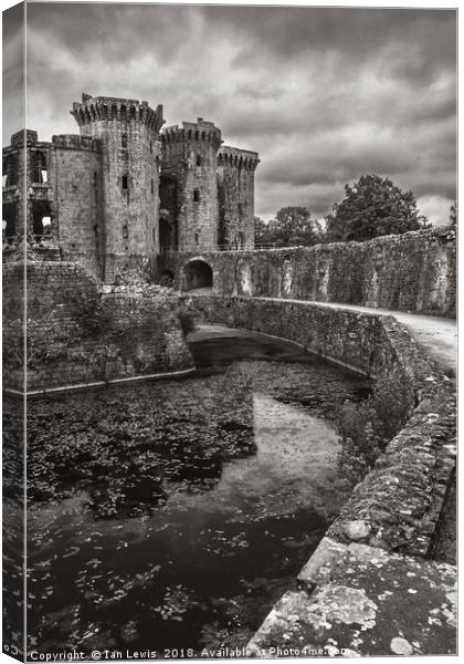 The Castle Moat Canvas Print by Ian Lewis