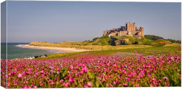 The Castle and the Campion Canvas Print by Naylor's Photography