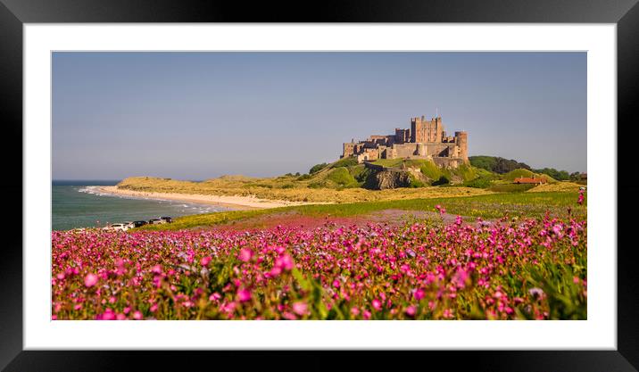 The Castle and the Campion Framed Mounted Print by Naylor's Photography