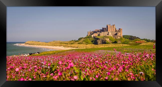 The Castle and the Campion Framed Print by Naylor's Photography
