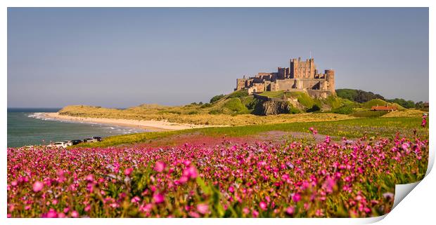 The Castle and the Campion Print by Naylor's Photography