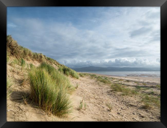 The Dunes at Aberdovey.  Framed Print by Colin Allen