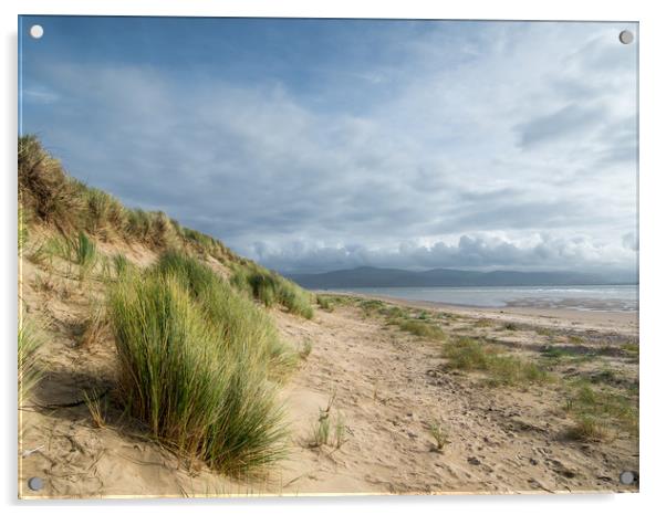 The Dunes at Aberdovey.  Acrylic by Colin Allen