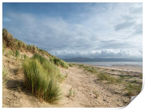 The Dunes at Aberdovey.  Print by Colin Allen