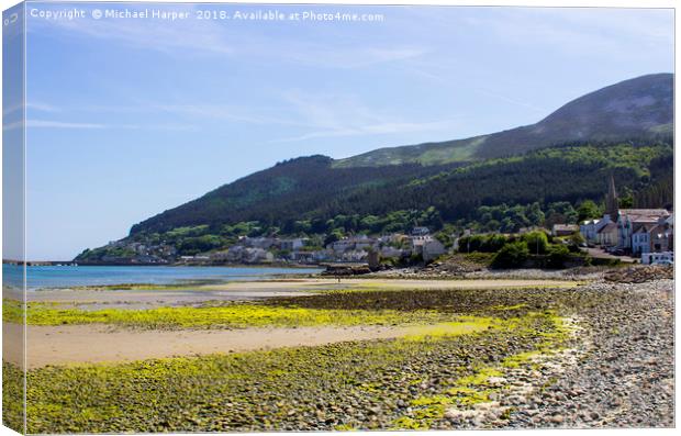 Dundrum Bay and Newcastle Town from the beach Canvas Print by Michael Harper