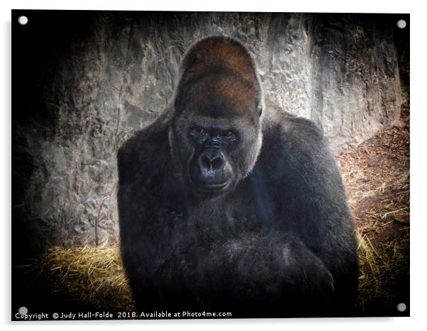 Gorilla Portrait Acrylic by Judy Hall-Folde